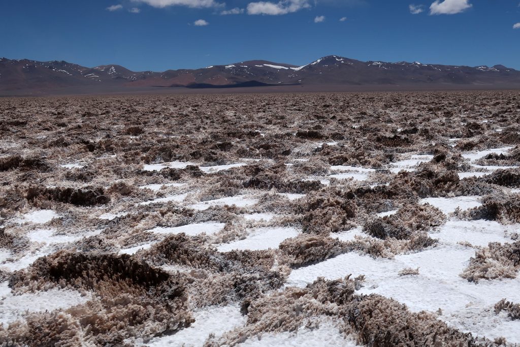 CODELCO cierra gran acuerdo con Australia