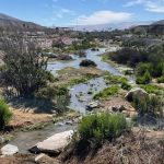 Tribunal Ambiental revisa cumplimiento de conciliación entre CDE y Minera Candelaria por daño al acuífero del río Copiapó