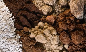 Aclara y Universidad de Stanford se unen para liderar la investigación y desarrollo de tierras raras impulsada por IA
