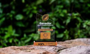 Enap se consolida como líder en innovación: galardonada por sus proyectos de hidrógeno verde y diésel renovable