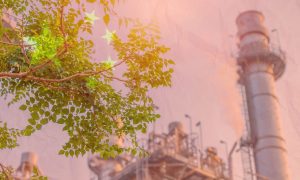 China acelera transición baja en carbono y ampliará mercado nacional de emisiones