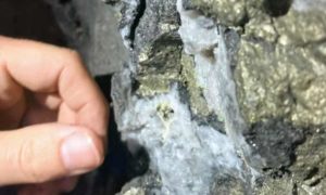 Perú: Element79 Gold nombra a experto en capital de riesgo para fortalecer su directorio