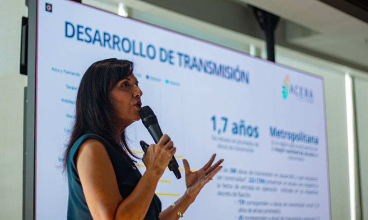 ACERA pone foco en la demanda y el almacenamiento en balance eléctrico 2025