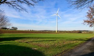 Parque Eólico El Parrón ingresa al SEIA con EIA por US$280 millones en el Maule