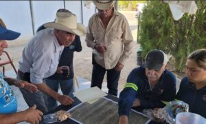 México: Tocvan avanza en Gran Pilar con nuevos sondajes, geofísica y preparación para minería piloto