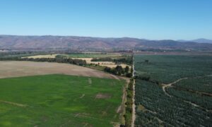 Parque Eólico Fénix de EDF Power Solutions obtiene aprobación ambiental para proyecto de 128 MW en Biobío