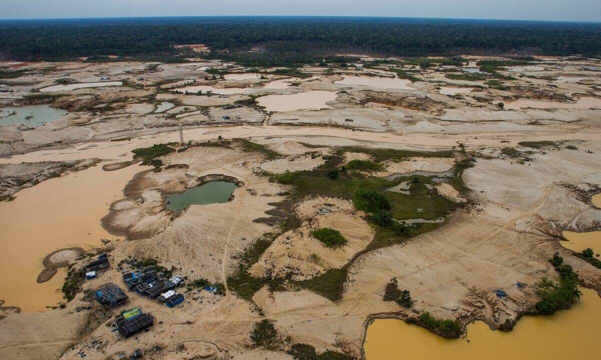 proEXPLO 2026 pondrá foco en el impacto de la minería ilegal sobre la ...