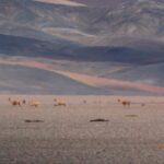 Argentina: La Rioja impulsa estudios ambientales en la cordillera para fortalecer el desarrollo minero