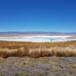 Argentina Lithium firma acuerdo por US$100 millones con socio chino para avanzar proyecto Rincon West