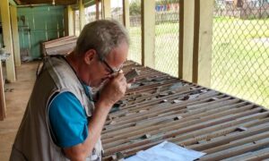 Brazilian Critical Minerals posiciona a Ema como proyecto de tierras raras de relevancia global