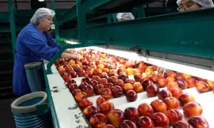 Ley 40 Horas: nueva reducción de jornada laboral ya rige en Chile