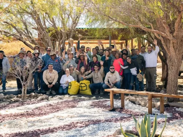 Lomas Bayas y agricultores de Calama celebran histórica cosecha de algarrobo en Parque Explora