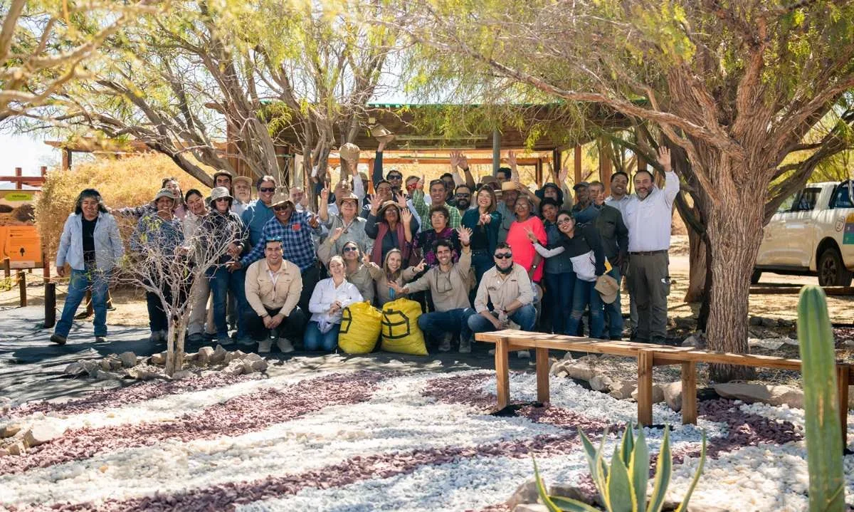 Lomas Bayas y agricultores de Calama celebran histórica cosecha de algarrobo en Parque Explora