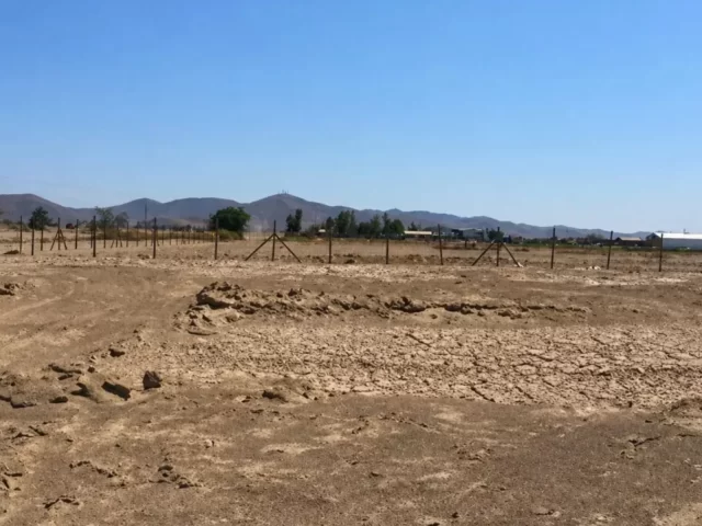 Tribunal revierte término anticipado de proyecto solar Oxum del Tamarugal y ordena retomar evaluación ambiental