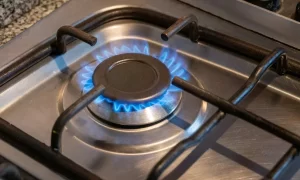 Cupón de gas licuado: Comisión de Energía analiza subsidio de 27 mil pesos