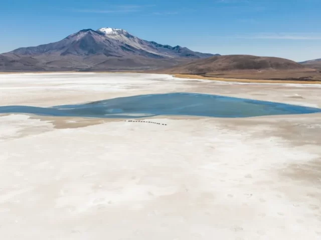 Ministerio de Minería fija condiciones para CEOL con Quiborax y abre paso a recuperación de litio desde residuos mineros