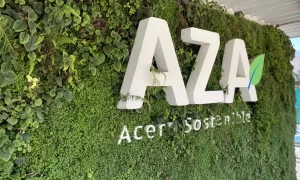 CAP y Aceros AZA negocian reactivación de Huachipato con proyecto siderúrgico que superaría los US$400 millones
