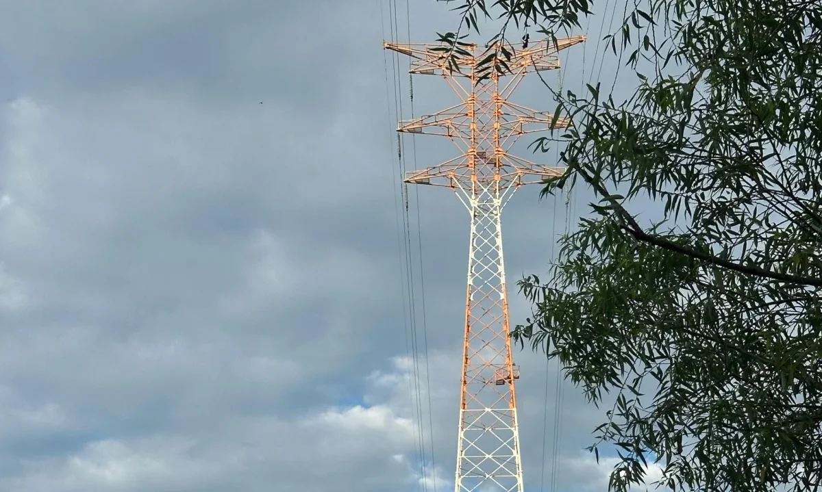 Nueva línea de transmisión de 220 kV busca reforzar evacuación de energía en Biobío con inversión de US$7 millones