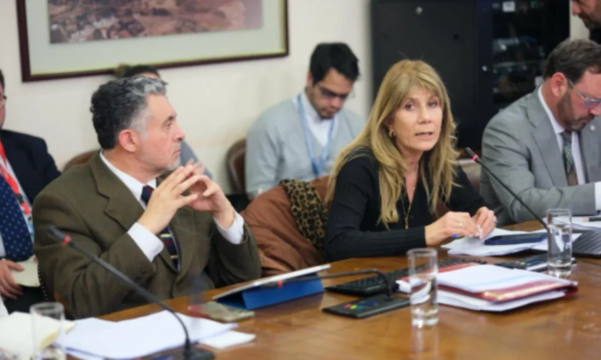 “Ordenemos la Cuenta” supera Comisión de Minería y Energía y pasa a votación en Sala