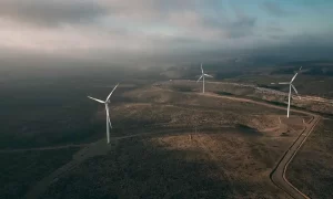 Impuesto Verde: concentración en Biobío, Valparaíso y Antofagasta impulsa descarbonización industrial
