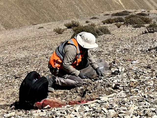 Gelum amplía exploración en Las Tinajas y busca nuevos objetivos de oro y cobre en Maricunga