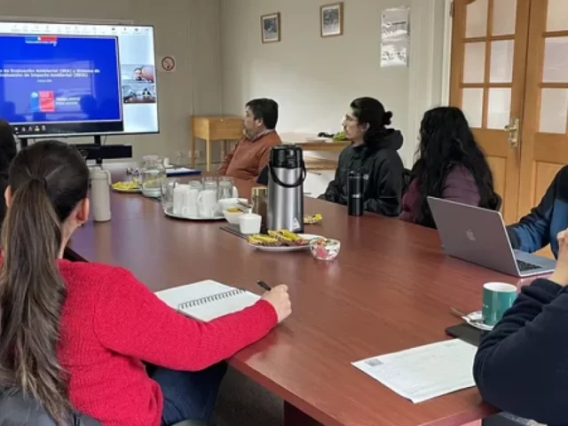 SEA Aysén capacita a estudiantes de Ingeniería Forestal en evaluación ambiental
